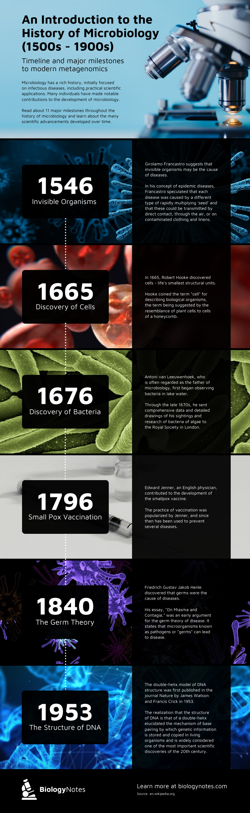 Microbiology Milestones Timeline Infographic Template 6 Microbiology Milestones Timeline Infographic Template
