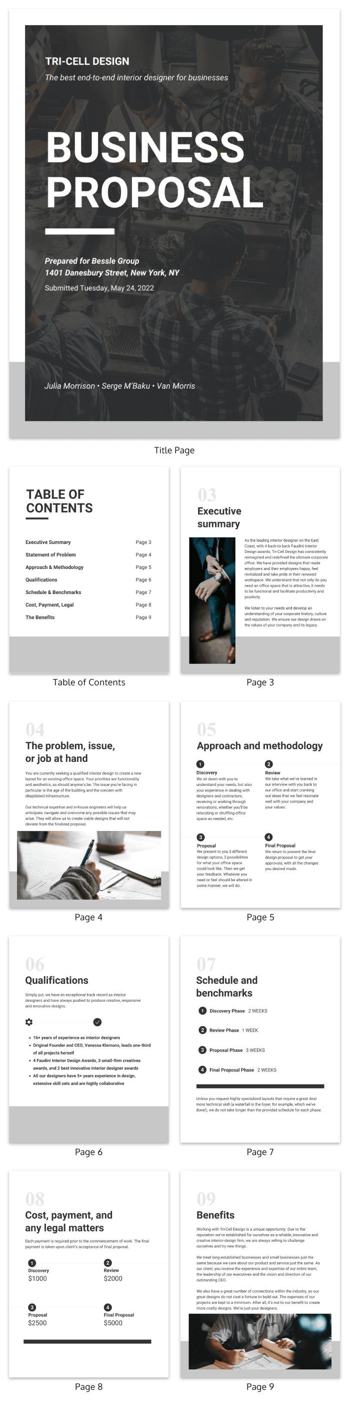 Standard Business Proposal Template