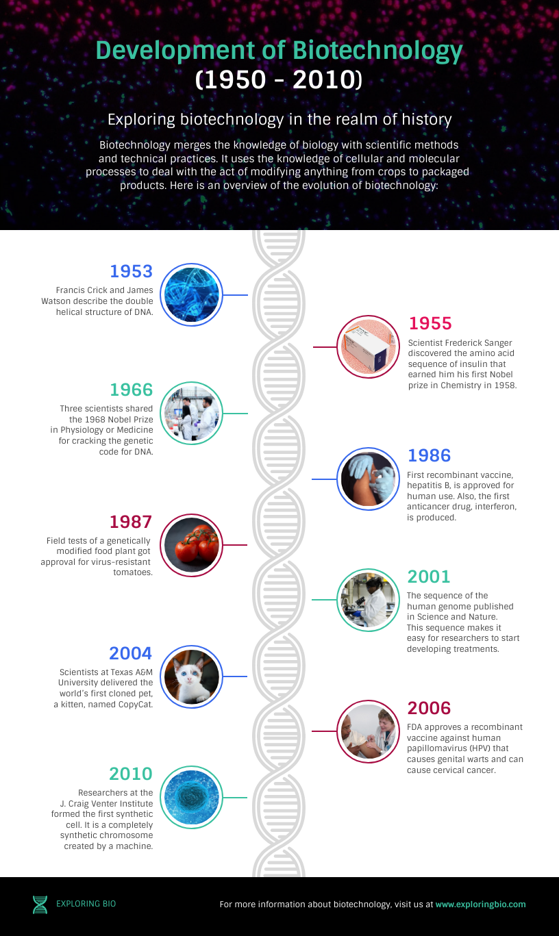 Development Of Biotechnology Timeline Infographic Template Development Of Biotechnology Timeline Infographic Template