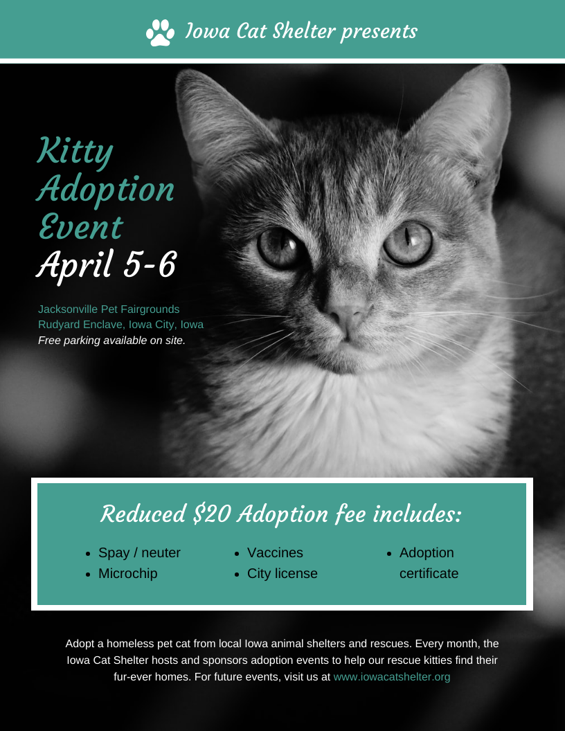 Nonprofit Cat Adoption Event Poster Template Nonprofit Cat Adoption Event Poster Template